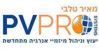 פי. וי. פרו סיסטמס